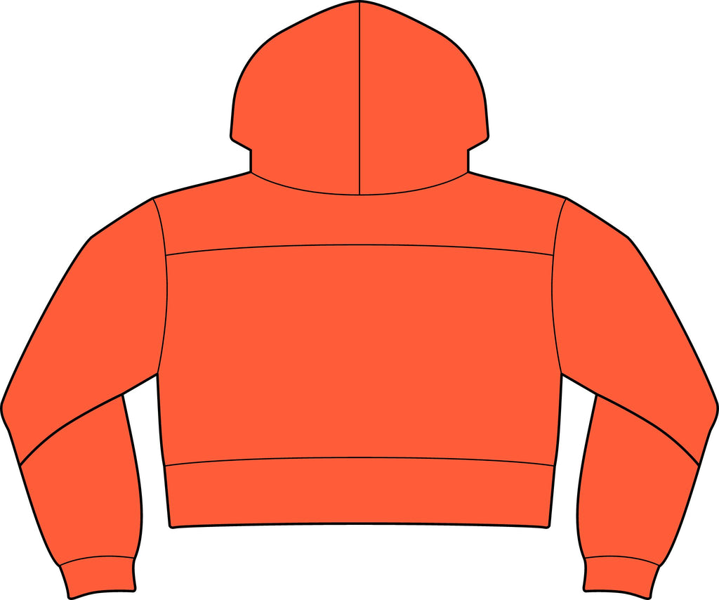 NuEden: Cropped Logo Hoodie